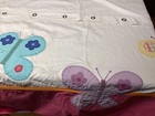 Picture 6 of 11