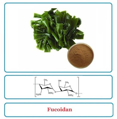FUCOIDAN  - 150-Caps 300mg - Fantastic Results