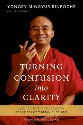 Helen Tworkov Yongey Mingyur Rinpoch Turning Confusion into Clarit (Taschenbuch)