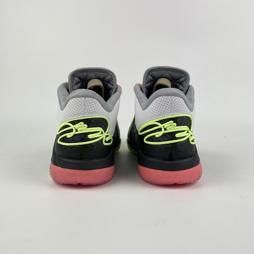 Nike LeBron 22 Crown Jewel EU 43/44/44,5/45 Men Basketball Shoes FZ1094-101 NEW - Imagen 6 de 11