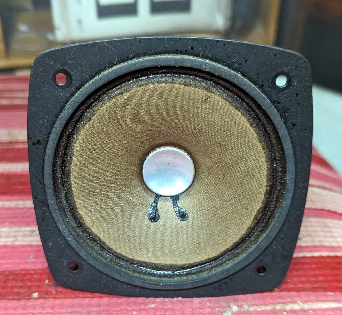 Squawker speaker 2025