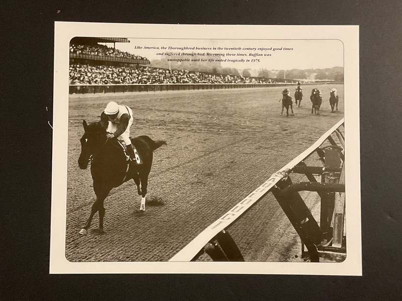 RUFFIAN photo Horse Racing 1975 MOTHER GOOSE