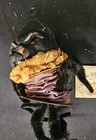 Foto 2 di 5