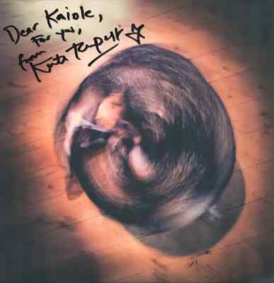 Kate Tempest Circles SIGNED Vinyl Single 12inch NEAR MINT Big Dada