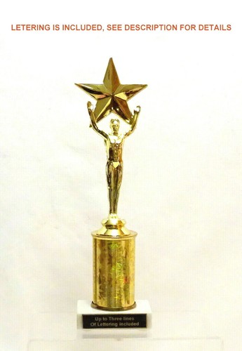 S&S BEAUTY PAGEANT MALE STAR VICTORY #2 - Imagen 2 de 4