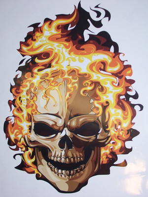 Skull flames FULL COLOR Car or Truck Window Decal Decals Sticker Skulls Graphic