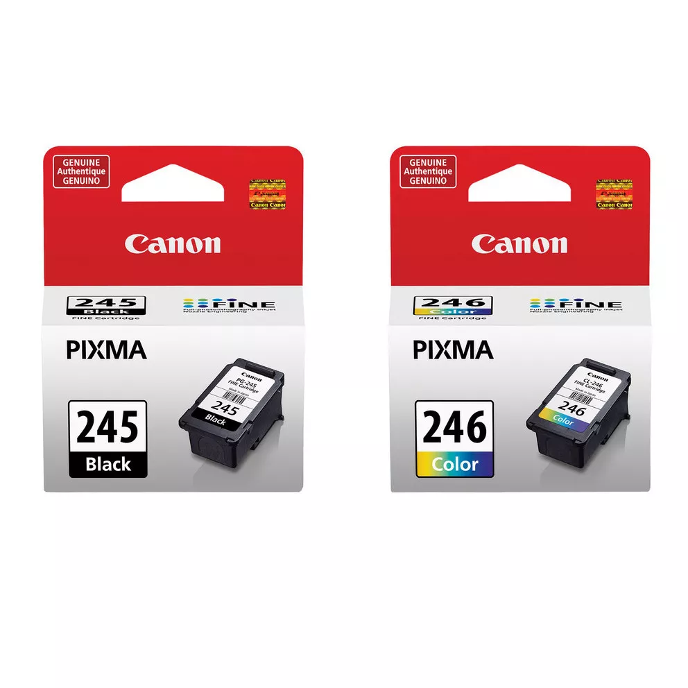 Canon clearance ts3100 ink