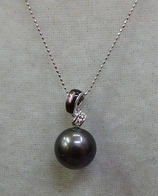 K18WG [Black lipped pearl] 13mm, 45cm, certificate of authenticity, 5.3g, new