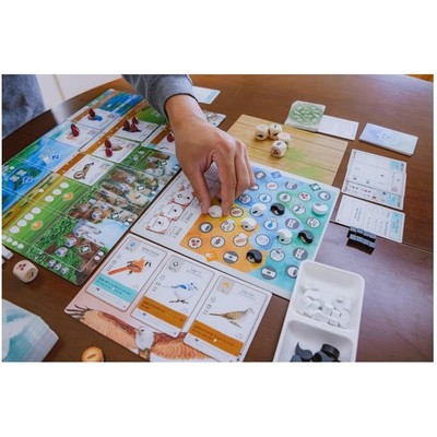High Replayability Bird Game | Great Gift for Nature Lovers
