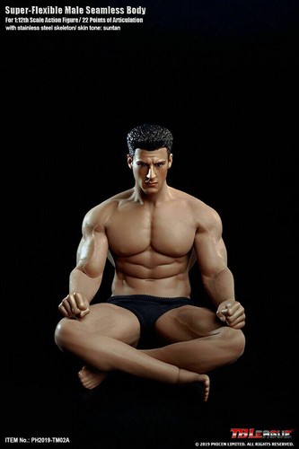 Phicen TBLeague 1/12 Male TM02A Muscle Seamless Body Figure Model With Head - Picture 7 of 10