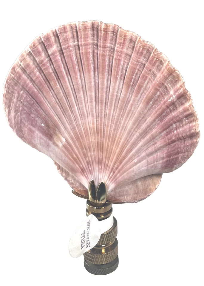 Acabado de pantalla de lámpara costera rosa náutica concha marina Foto 3 de 4