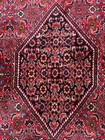 Genuine Hand-woven Kurdish Bidjar Rug 8'X  5.5'  Wool Hand-woven Oriental Carpet — photo 7
