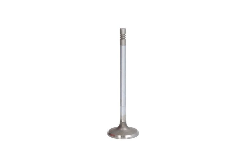 3x ✅Fits FRECCIA 6817/SCR Intake Valve 6817/SCR Intake valve (31,8x6 ⭐UK Seller⭐