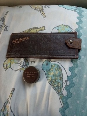 Vintage Halsband Etui und Nietenboxen EIN NIETE IN DER BOX LOHNT SICH....