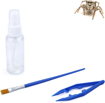 Jumping Spider Starter Care Kit Includes Spray Bottle Tweezers Soft Paint Brush 