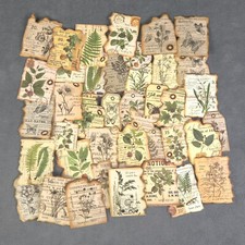 Vintage Retro Style Burnt Edge Plants Butterfly Stickers - Set of 10 Stickers