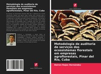 Dairon Rojas HernáNdez | Metodologia De Auditoria De ServiçOs Dos...