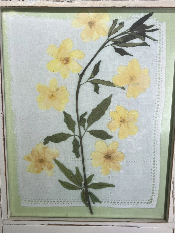 8 X 10” IMPRESIÓN DE FLORES AMARILLAS SECAS EN MARCO DE MADERA RÚSTICA #/15 FIRMADO ~ Arte de pared Foto 2 de 4