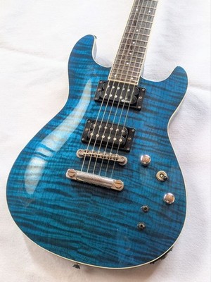 Fernandes APG-55S Blue Sustainer