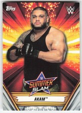 2019 Topps WWE SummerSlam Akam #1