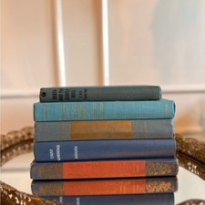 Vintage Blue & Orange Decorative Books   Set ...
