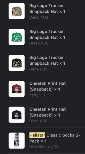 BRAND NEW HELLSTAR TRUCKER HAT CAMO-HYPETREASURES FAST SHIPPING - Afbeelding 11 van 12
