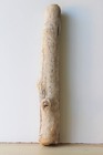 Treibholz Schwemmholz Driftwood 1 Stamm Dekoration Basteln 61 cm