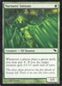 NURTURER INITIATE 124/301 SHADOWMOOR MTG MAGIC MP (yourdeckbuilder)