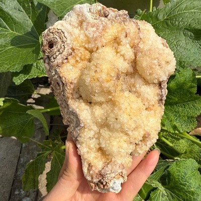 966g Natural Clear Quartz Cluster Crystal Mineral Healing
