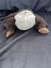 Foto 3 di 6