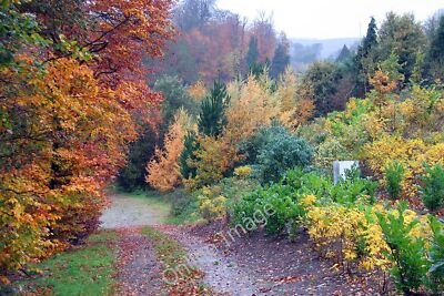 Photo 12x8 Autumn in Newtownmountkennedy, County Wicklow Baile an Chinneid c2006