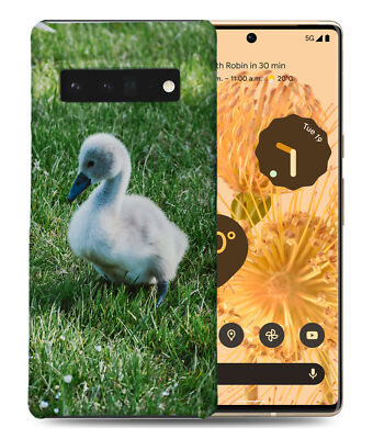CASE COVER FOR GOOGLE PIXEL|BABY SWAN FLAPPER CYGNET BIRD #1