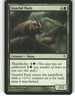 Gnarlid Pack - Worldwake - MTG - Common - #101 - NM