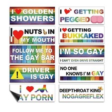 10-pack Personalized Fun Lgbt Bumper Stickers Colorful Magnetic Classic Style