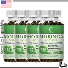 Moringa Powder Capsules AntiInflammatory Energy Metabolism Immune Support