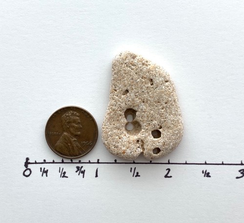 Natural Holey Beach Rock Número 8 Forma Agujero Bruja Piedra Hada Adder Magic ocho - Imagen 4 de 13