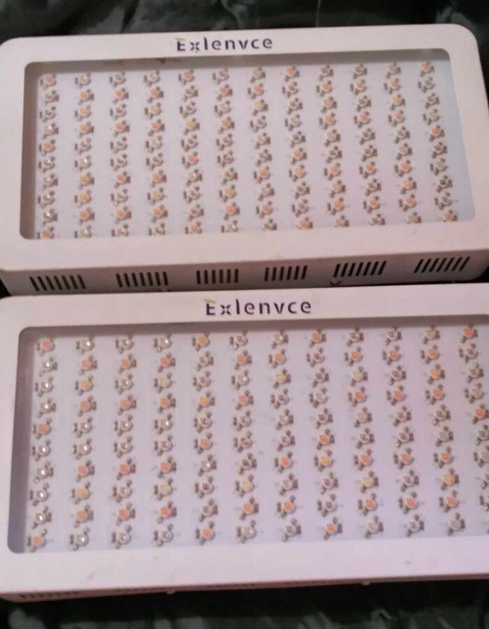 2 Pack EXLENVCE EXE-1200TW LED Grow Light Full Spectrum for Indoor Plants Veg 