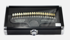 Dental Shade Guide Teeth Whitening Shade Guide Vita R-20 Professional 20 shades