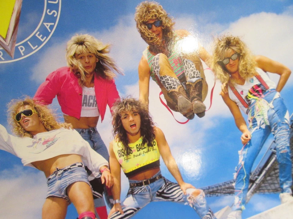 Vice -MADE FOR PLEASURE - HARD ROCK/HAIR METAL Ariola Presse Promo Foto plays m - Bild 2 von 4