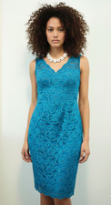 David's Bridal lace dress wedding guest bridesmaid dress
