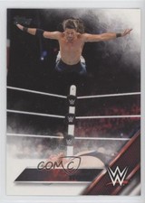 2016 Topps WWE Adam Rose #1 1z6