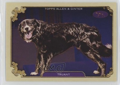 2024 Topps Allen & Ginter Best in Show Truant #SOS-4 1e2u