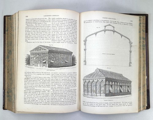 The Gardener's Assistant; Practical and Scientific Robert Thompson, Blackie 1859 - Picture 11 of 12
