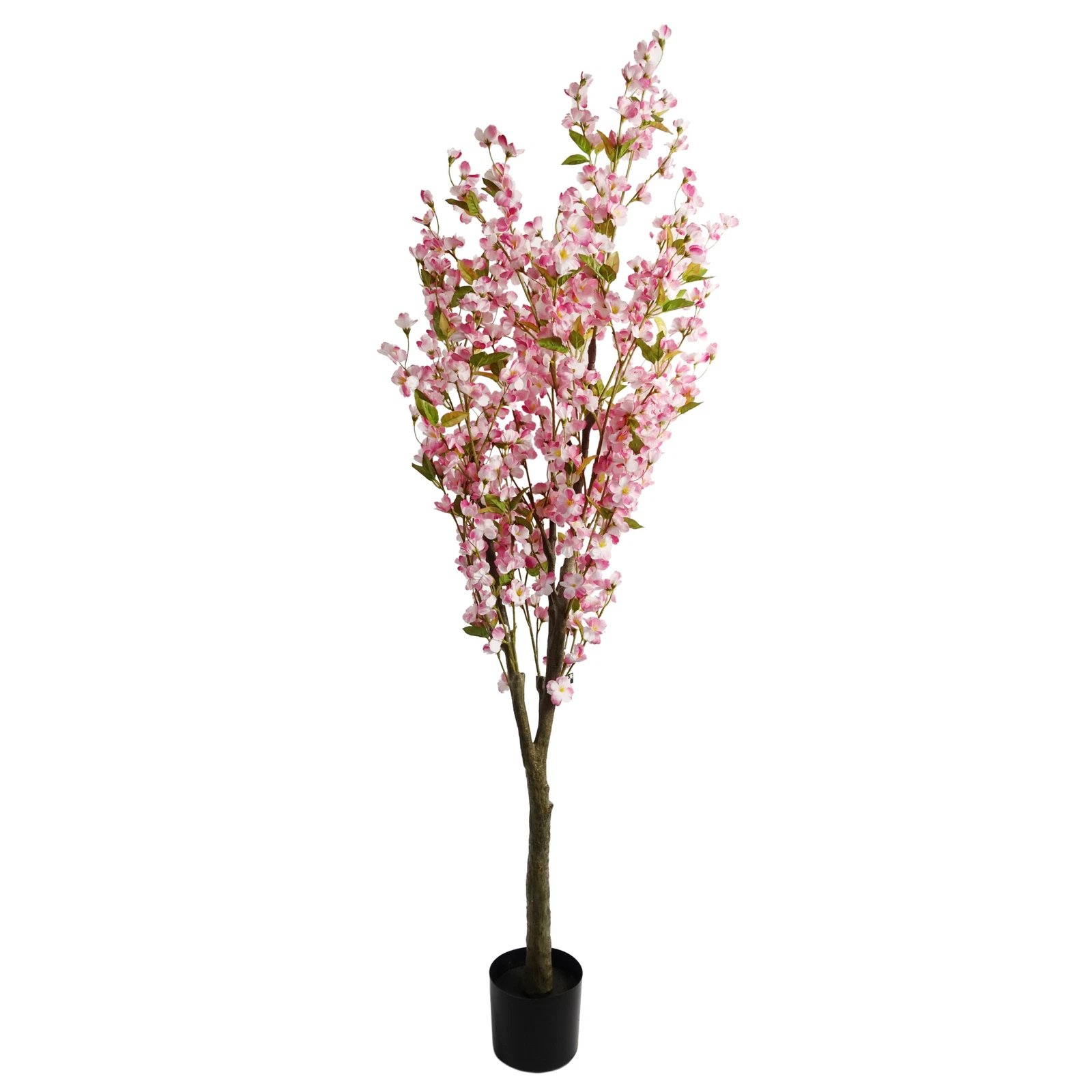 180cm Pink Cherry - 40801