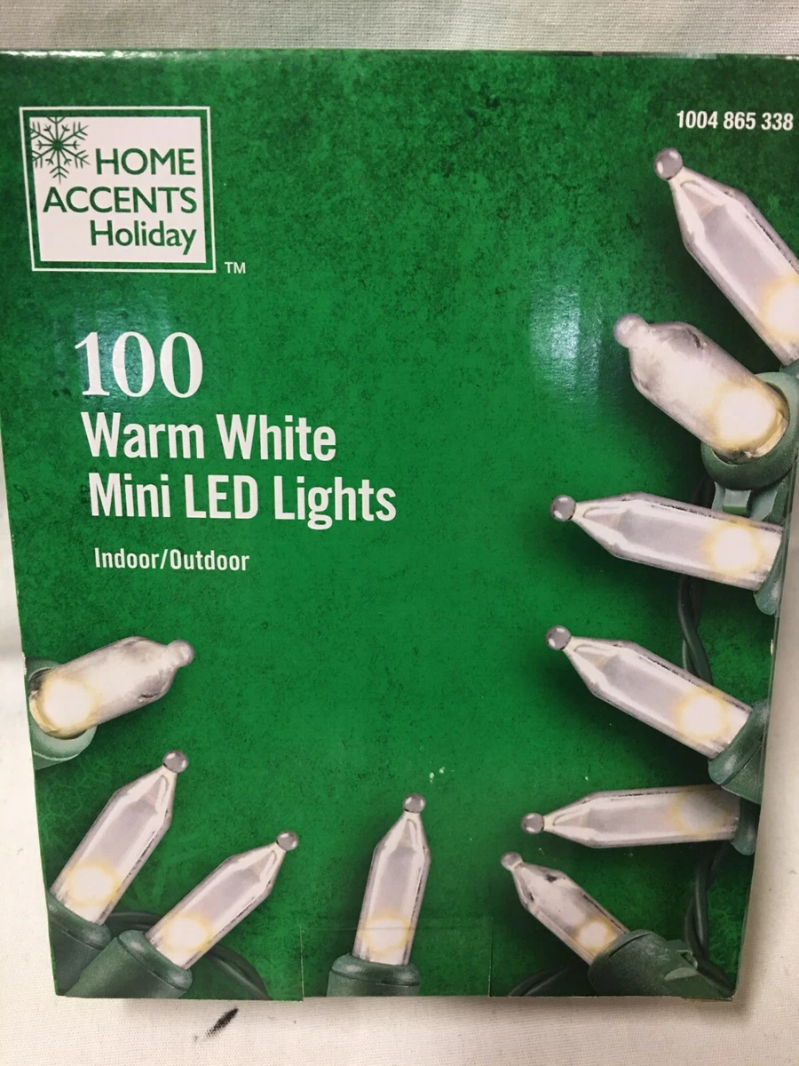 Home Accents Holiday 100 Warm White LED Mini Light String Set