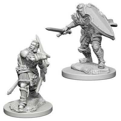 Wizkids D&D Nolzur'S Marvelous Miniatures Human Male Paladin Unpainted
