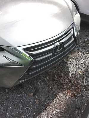 Grille Without Sport Package Fits 15-17 LEXUS NX200T 3217466