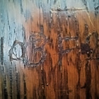 Antique 1900's Leich Electric Co. Solid Oak Hand Crank Wall Telephone (Complete) — photo 7