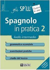 Spagnolo in pratica von Alviani, Annalee | Buch | Zustand sehr gut