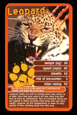 1 x Infokarte Deadliest Predator Leopard - R114